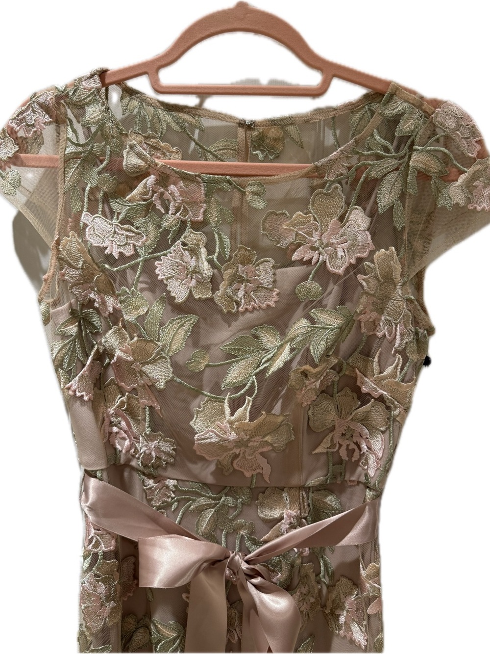 Adrianna Papell Blush Mesh Maxi Dress with Sage Floral Embroidery
